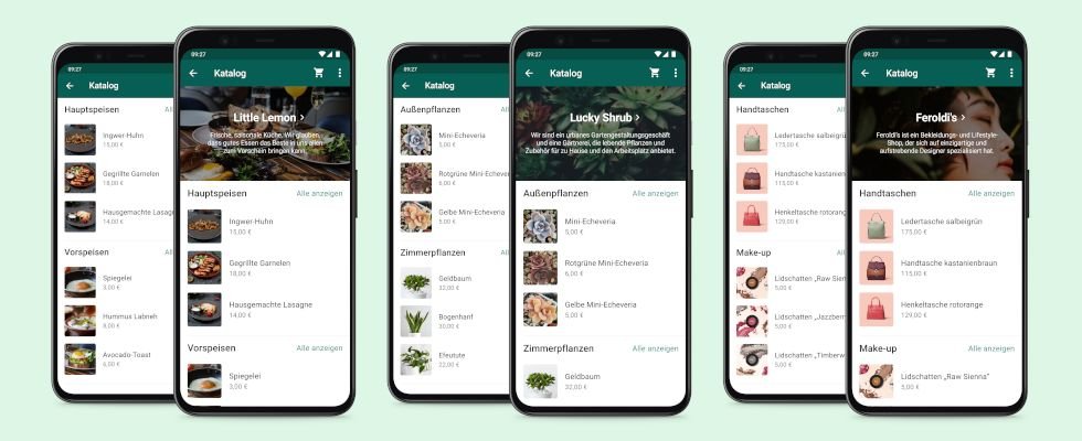 Catálogo de productos y servicios dentro de WhatsApp Business